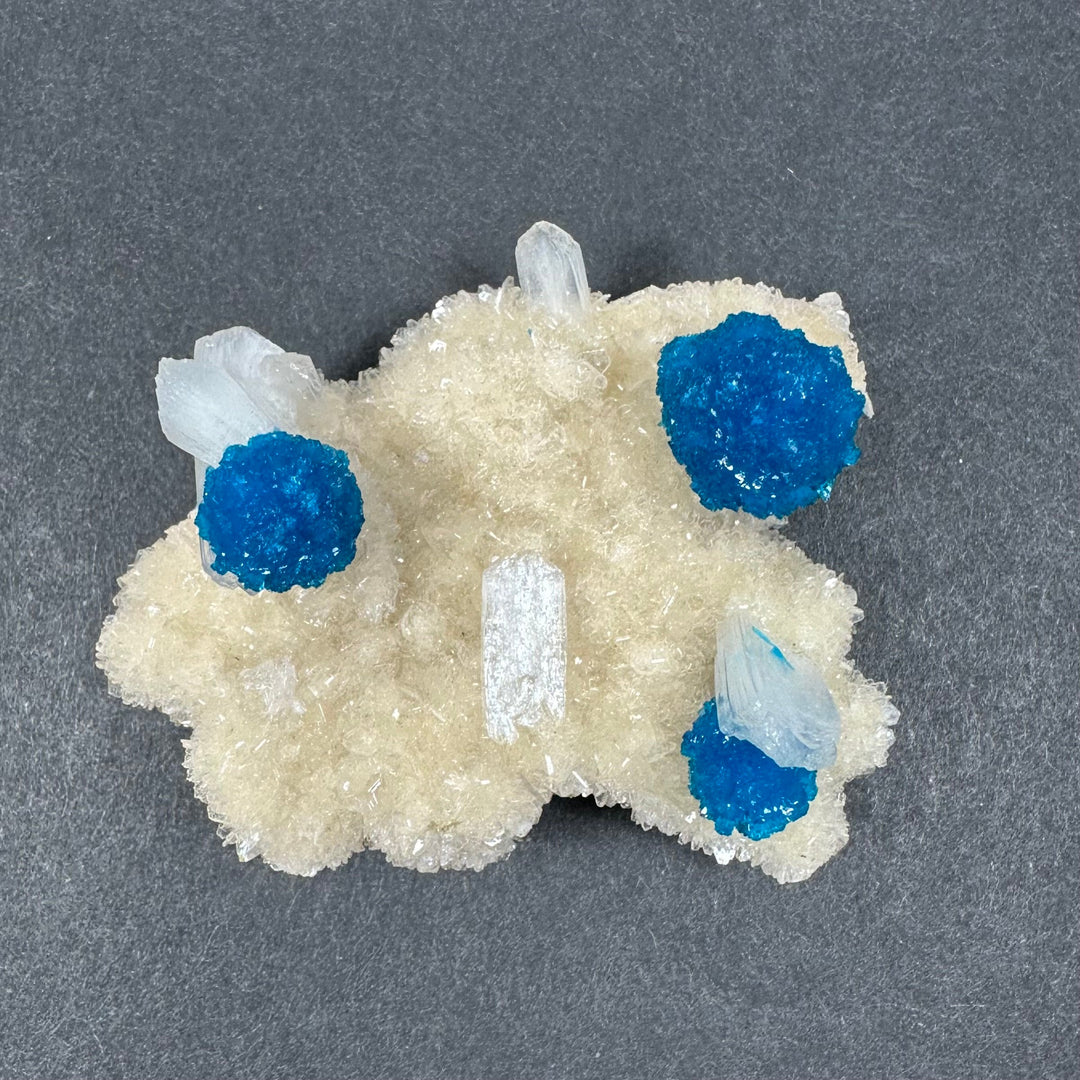 Cavansite and stilbite mineral specimen with blue druzy crystals and clear prisms