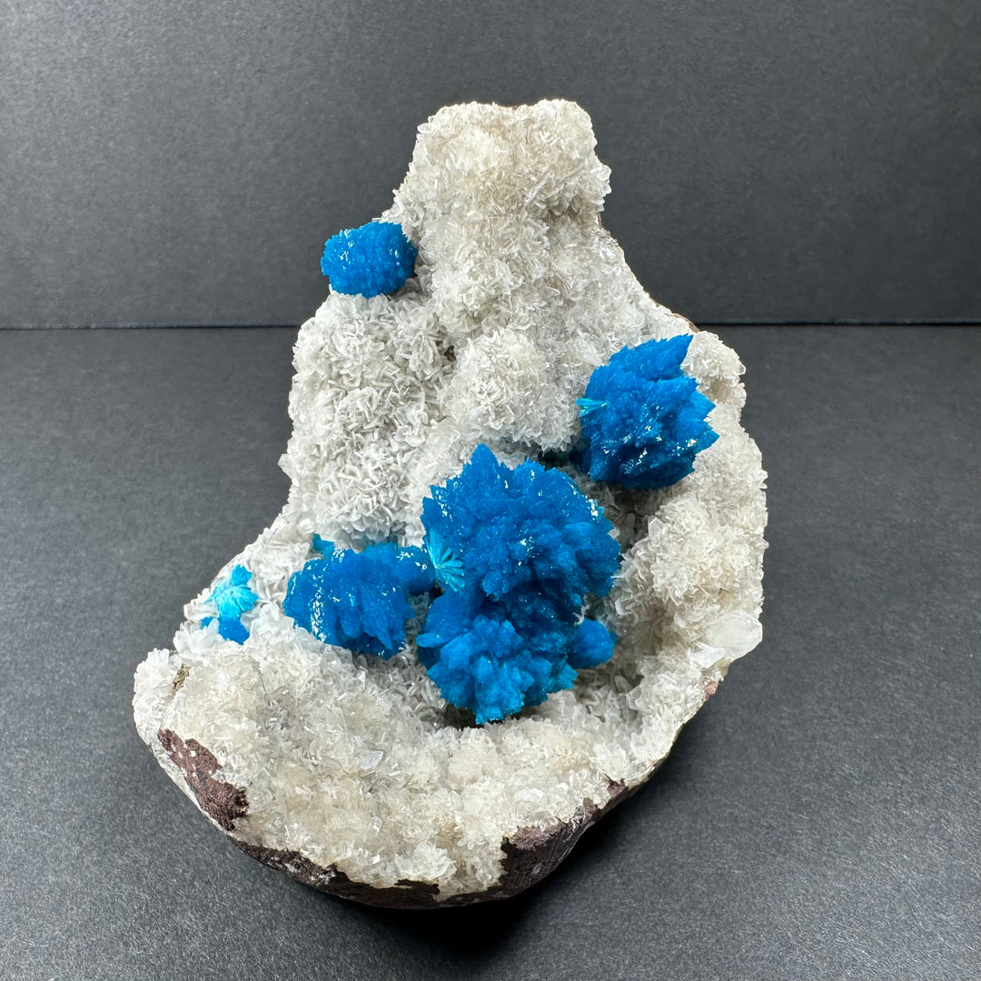 Teardrop mineral specimen with white crystal clusters and bright blue crystal points on matrix