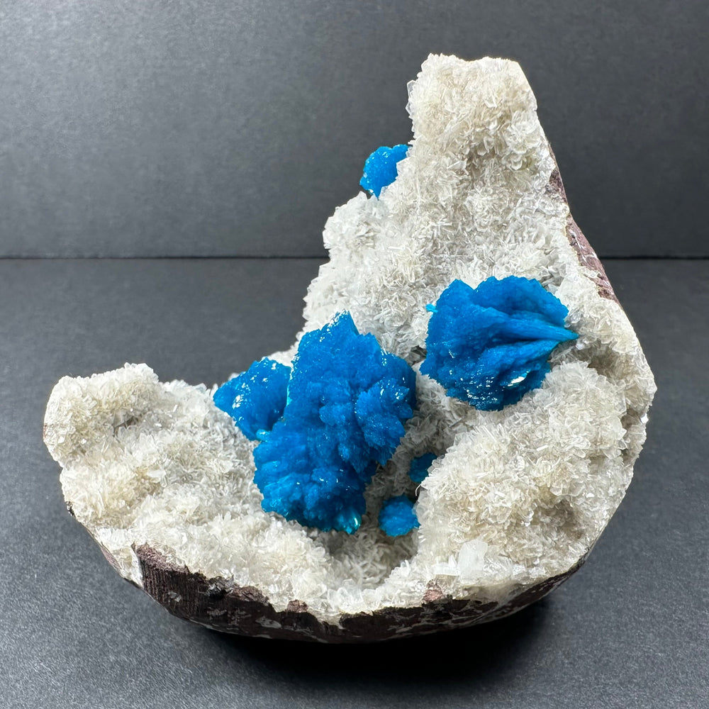 Ledge-like mineral specimen with white crystal base and bright blue clusters on rock matrix