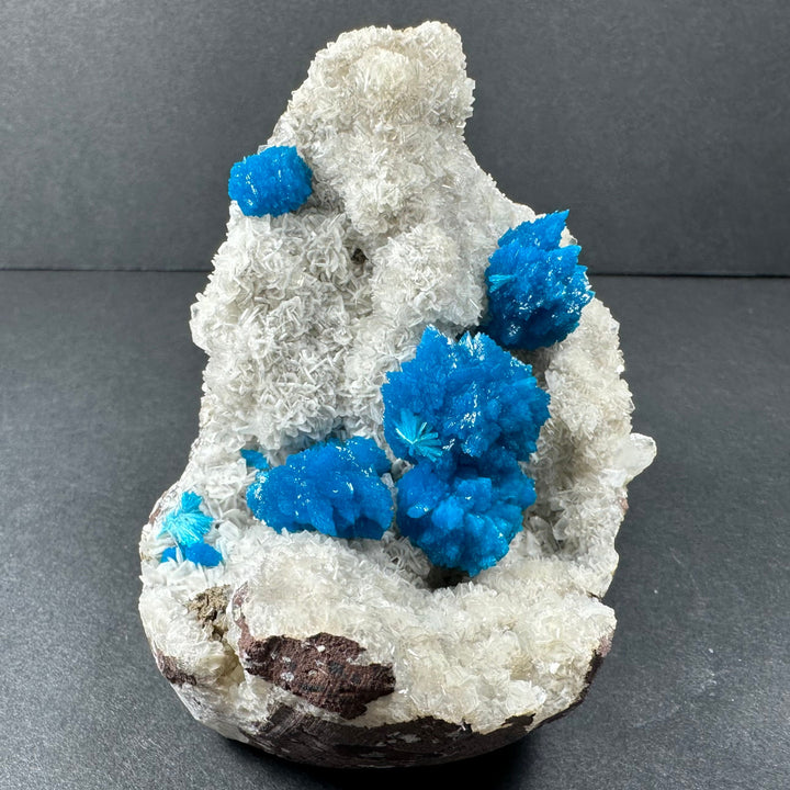 Mineral specimen with tall white crystal formation and multiple bright blue clusters on matrix