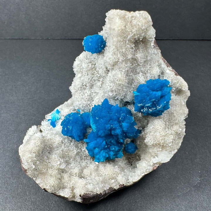 Small mineral specimen with white textured crystals and several bright blue crystal clusters on matrix