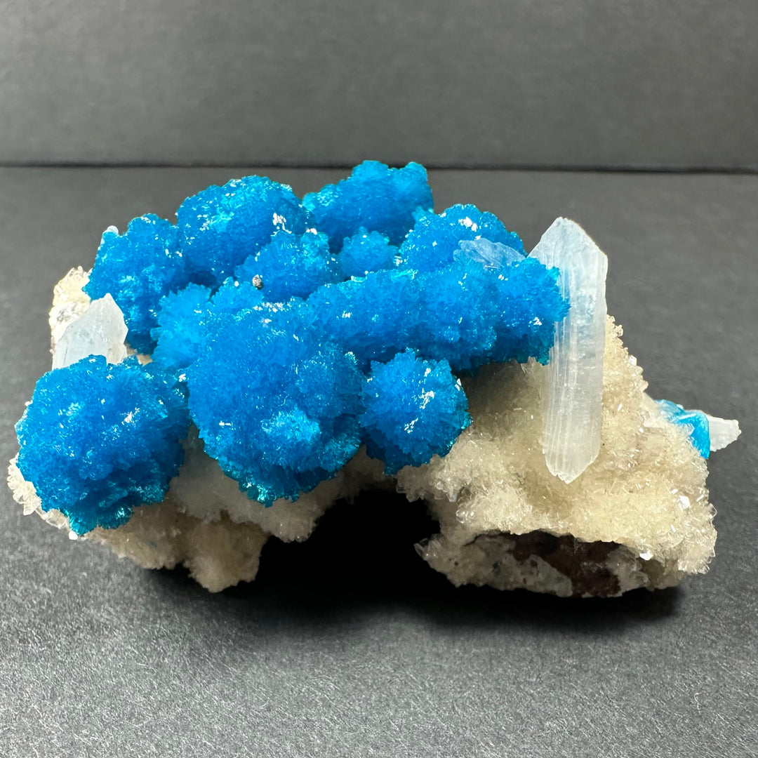 Blue drusy cavansite crystals with white stilbite on tan matrix rock, close-up