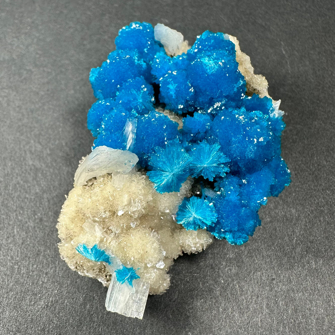 Blue cavansite cluster with white stilbite needles on pale tan matrix, side view