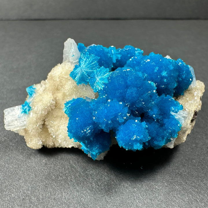 Blue cavansite and white stilbite mineral cluster on light matrix, angled view
