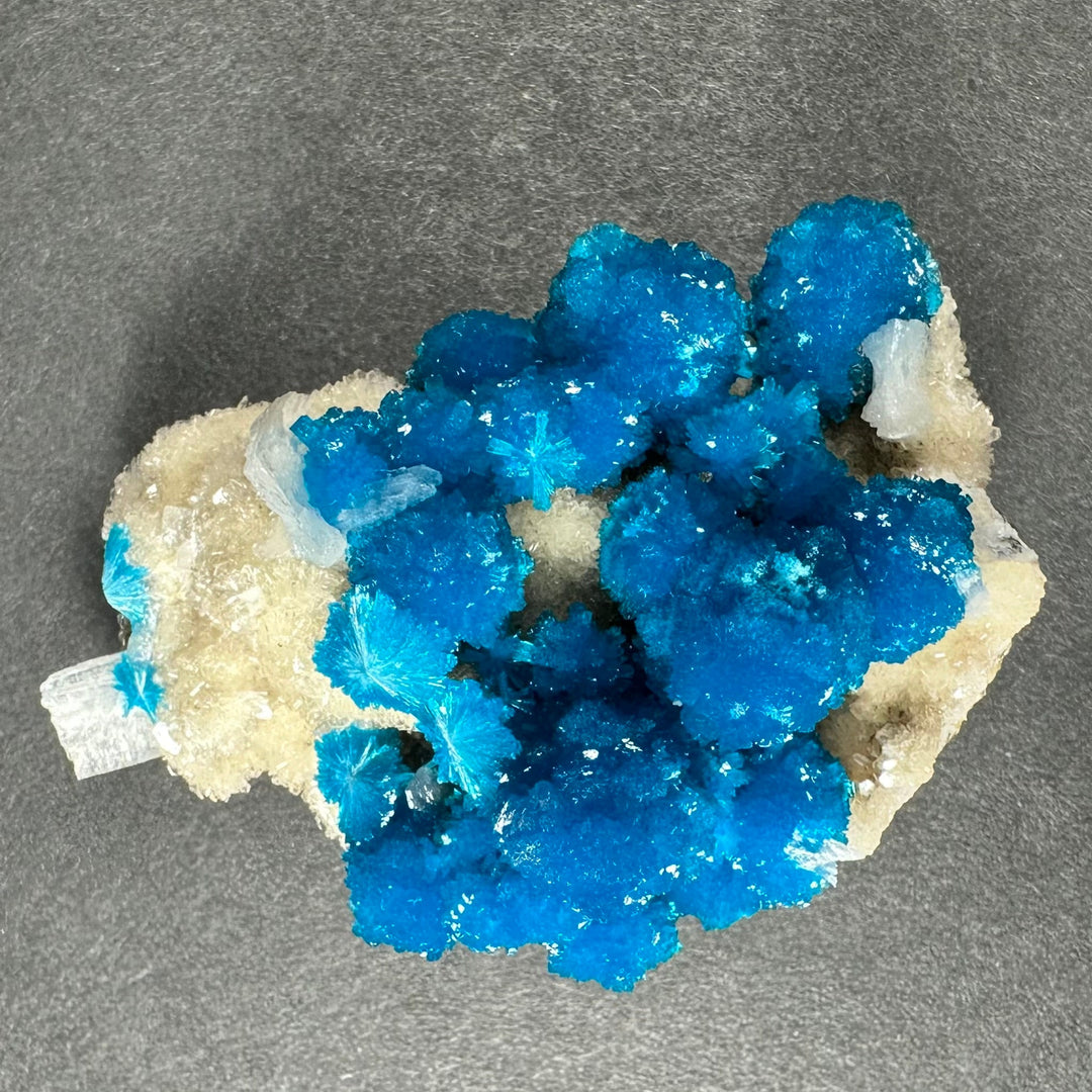 Blue drusy cavansite crystals with white stilbite on beige matrix, centered cluster