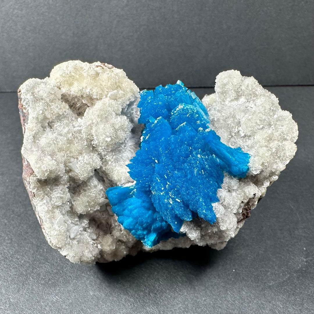 Blue cavansite and white stilbite crystals on rock matrix mineral specimen
