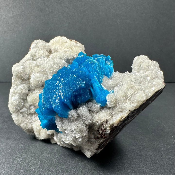 Blue cavansite with white stilbite on rough rock matrix, mineral specimen