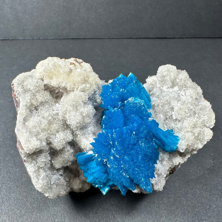 Blue cavansite crystal center with white stilbite crystals on matrix