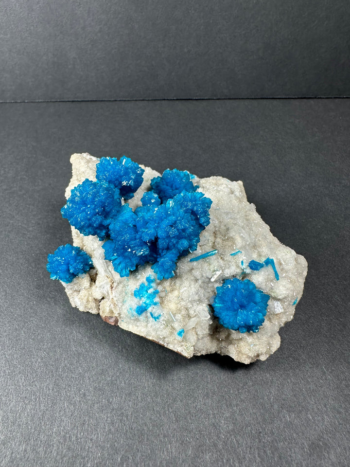 Mineral specimen with bright blue cavansite-style clusters on pale beige matrix