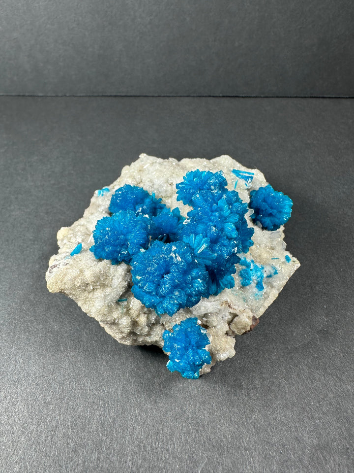 Cavansite and stilbite crystal specimen with dense bright blue clusters on beige rock