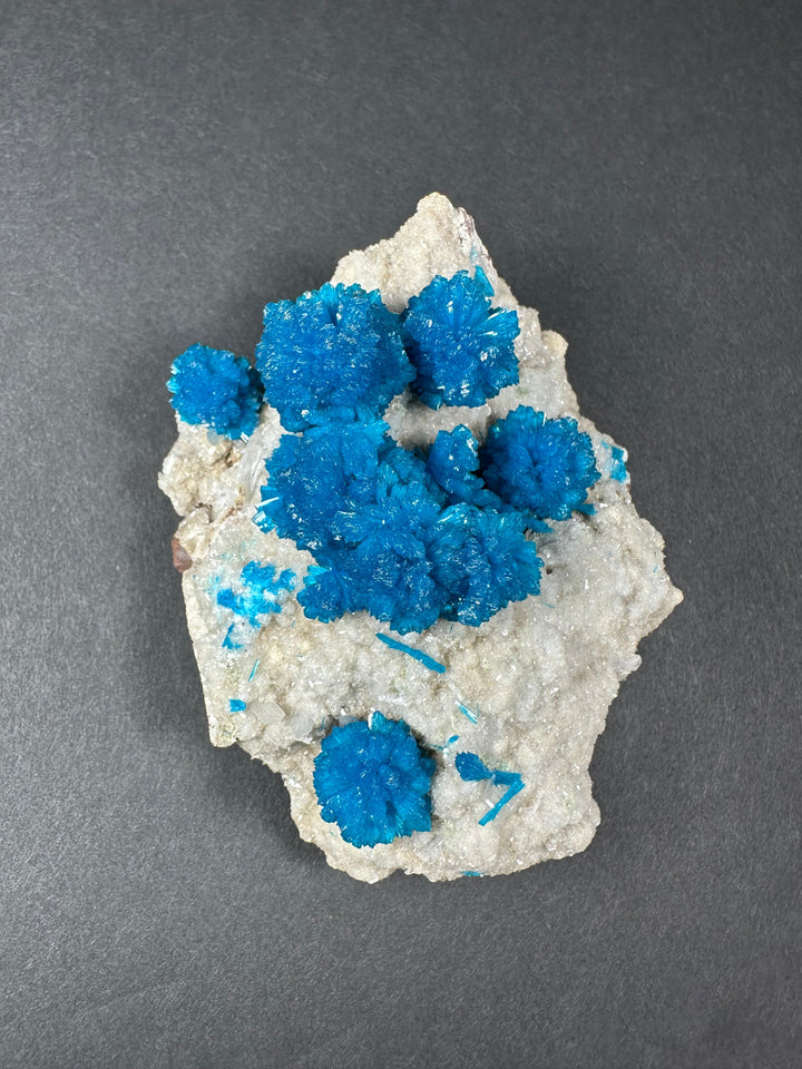 Blue crystal clusters on light beige rock matrix mineral specimen, small tumble shape