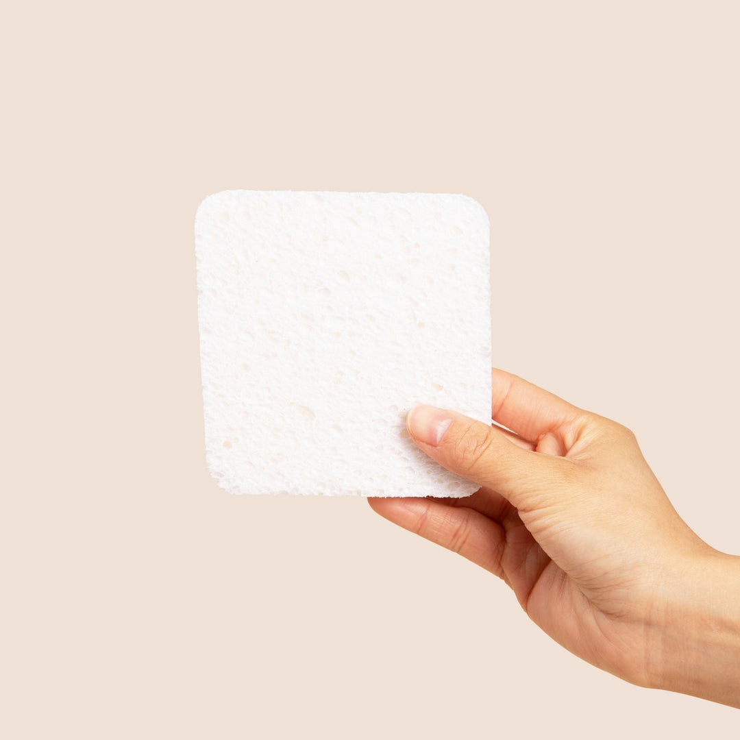 Soak Sponge