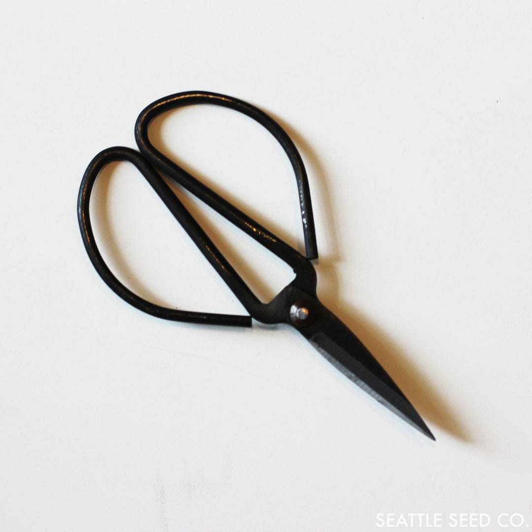 Forged steel pruning shears with black loop handles and pointed blades, close view