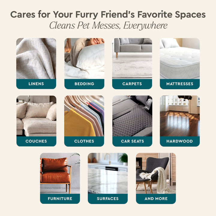 Pet Stain & Odor Remover