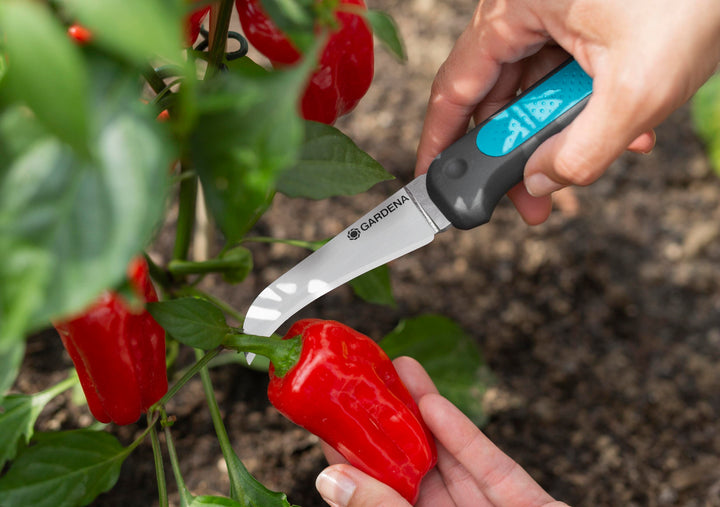 VeggieCut scissors cutting red peppers with blue-grip handle