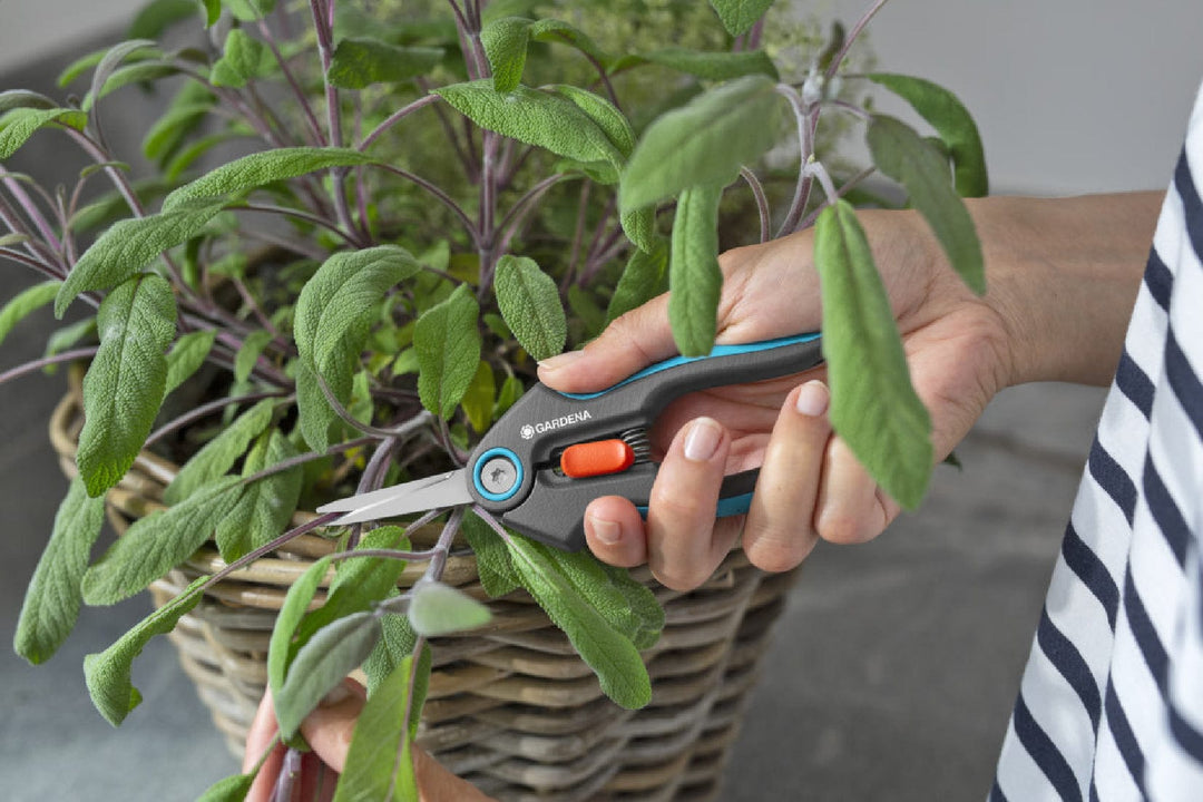 FreshCut Scissors with teal handles and orange latch held in a hand.
