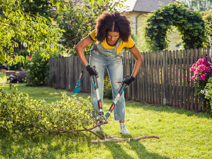 Pruning loppers in use with black blades and blue grips on long silver arms