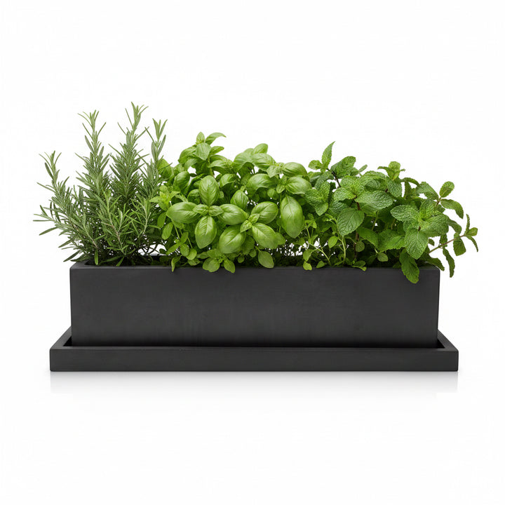 Concrete Rectangle Planter: Charcoal