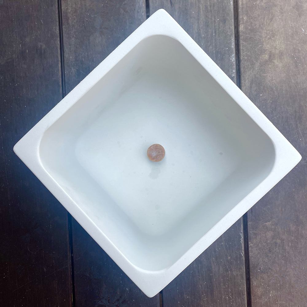 Concrete Square Planter: White — , [material], Port Living Co.