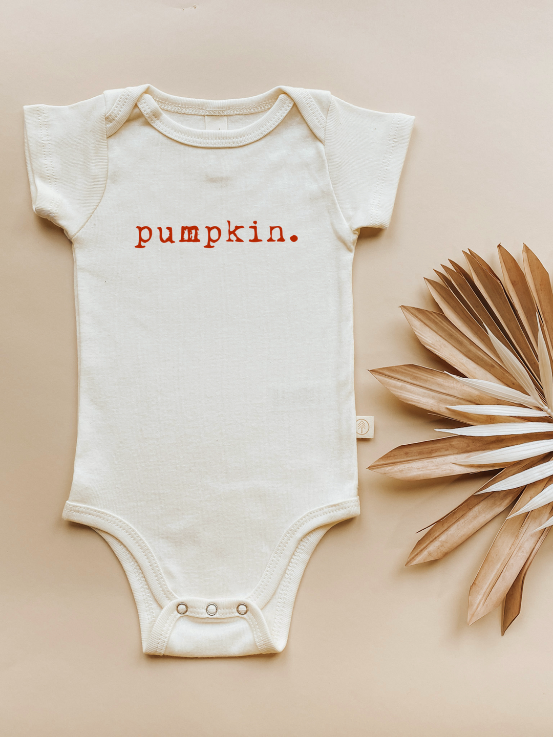 Pumpkin Organic Baby Bodysuit