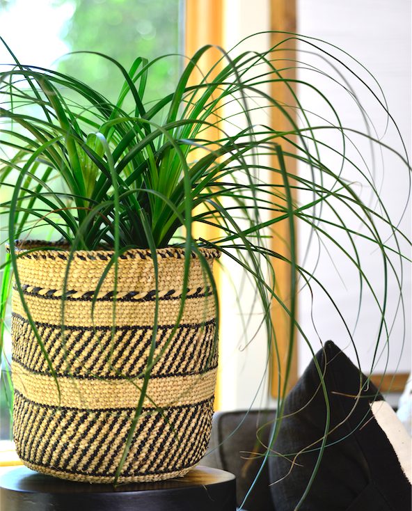 Woven Iringa-style basket with black stripe pattern and natural straw color, open top