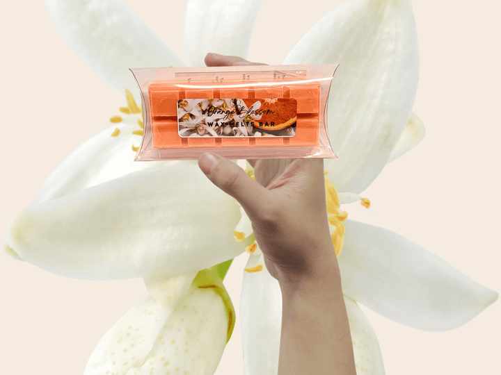 Wax Melts Bar | Best-Selling Signature | 18 Scents