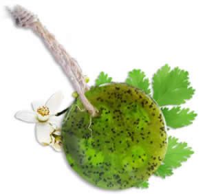 Green soap bar with chia seeds, loofah pieces, and parsley leaves