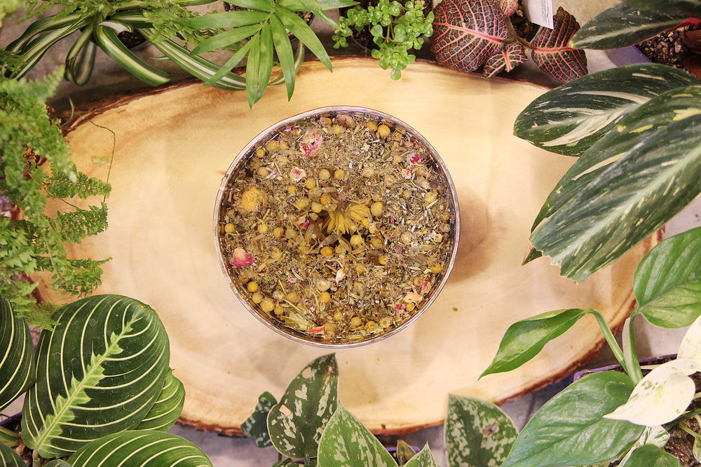 Bowl of facial steam herb blend surrounded by green leaves