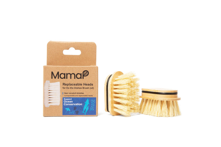 Retail box of replaceable dish brush heads with spare bristle inserts