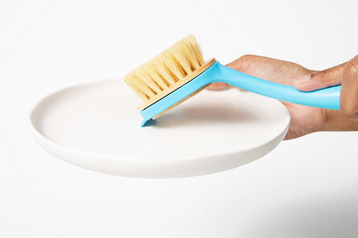 Dish brush lifted from plate, blue handle and yellow bristles angled upward