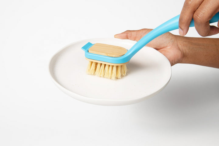 Dish brush scrubbing a plate surface, blue handle and yellow bristles visible