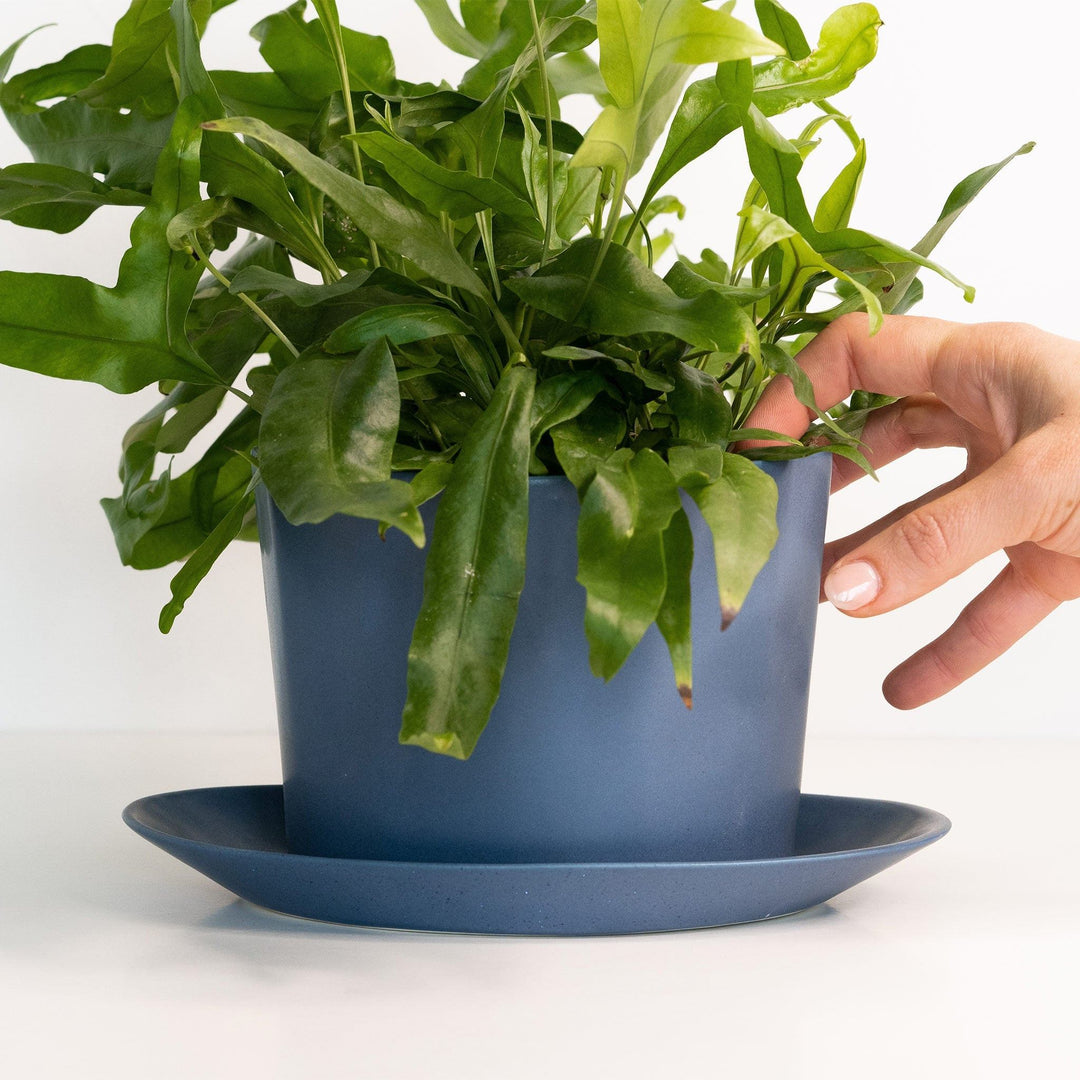 Geometric Oval Handmade Porcelain Planter — Pots & Planters, [material], Ember Collective
