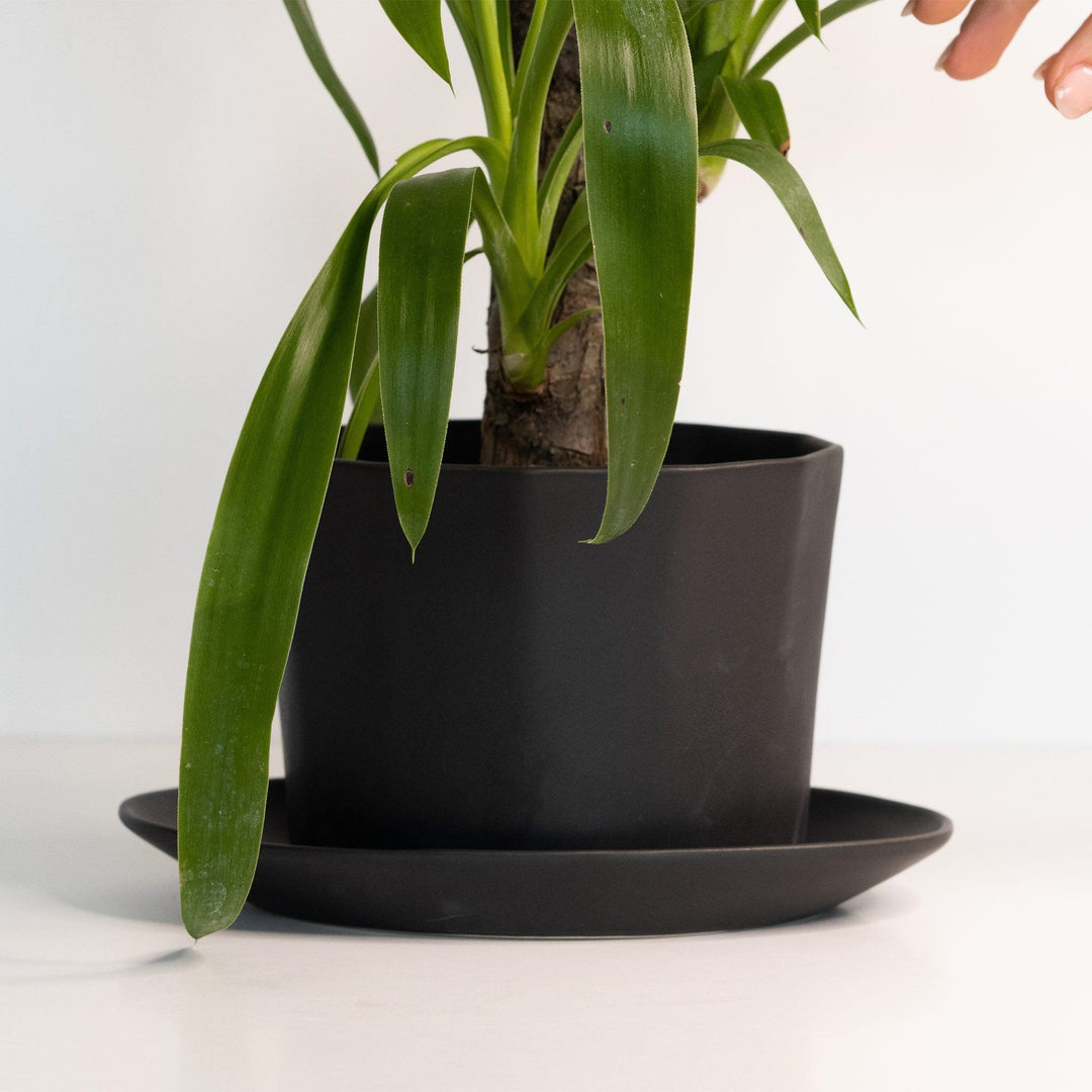 Geometric Oval Handmade Porcelain Planter — Pots & Planters, [material], Ember Collective