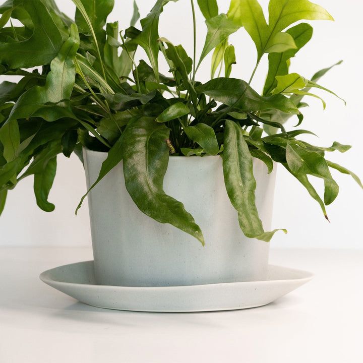 Geometric Oval Handmade Porcelain Planter — Pots & Planters, [material], Ember Collective