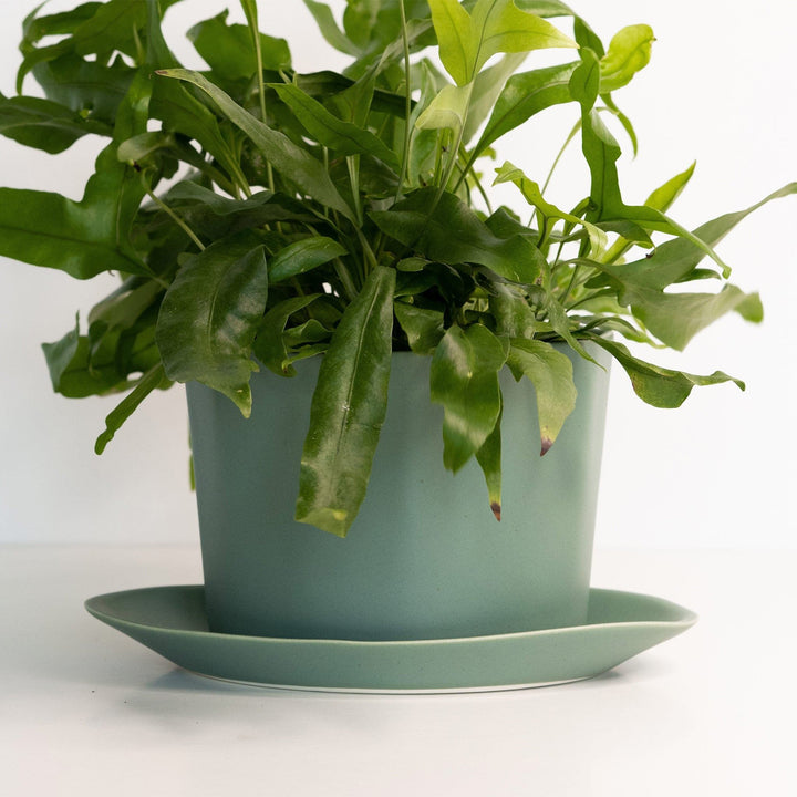 Geometric Oval Handmade Porcelain Planter — Pots & Planters, [material], Ember Collective