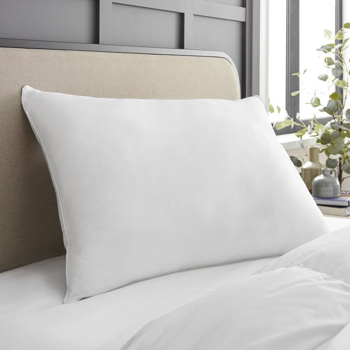 Organic Cotton Case—Hollow Fiber Filled Pillow