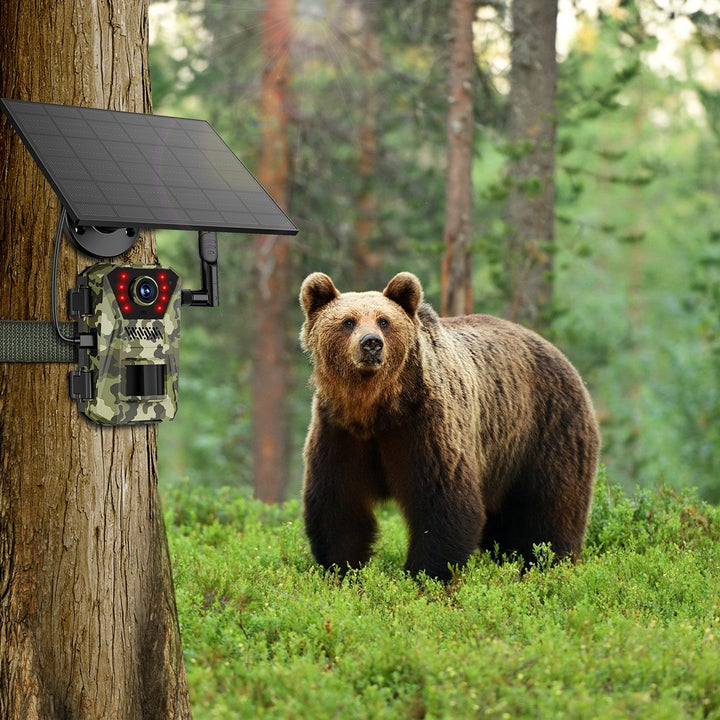 Solar trail camera in camouflage mounted on tree trunk, with active camera LEDs