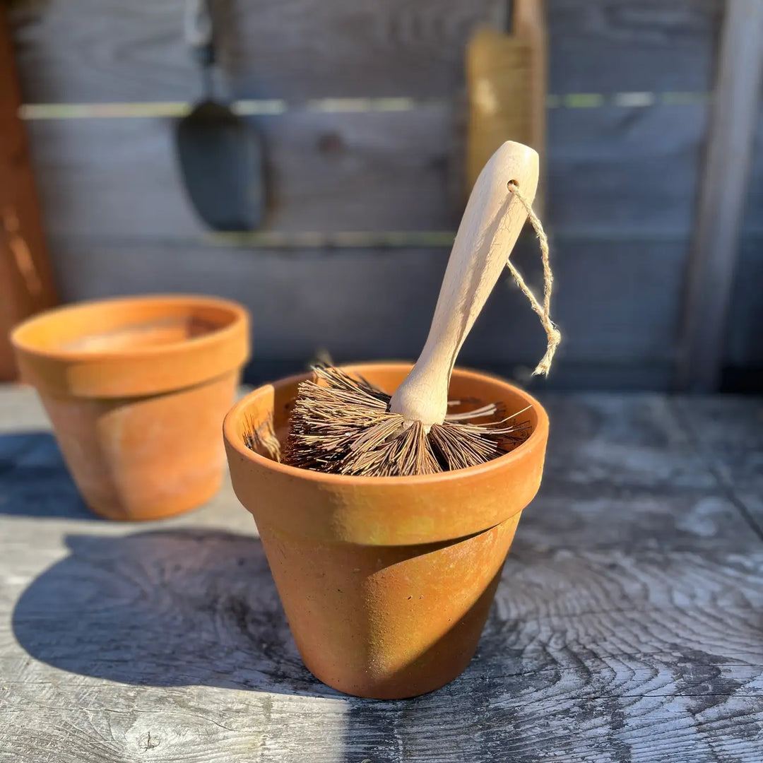 Pot cleaning brush with wooden handle, bristles shown in terracotta pot