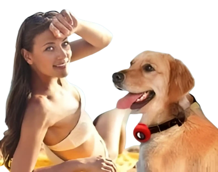 Dog wearing a red silicone AirTag pet collar tracker case on its collar