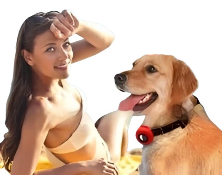 Dog wearing a red silicone AirTag pet collar tracker case on its collar