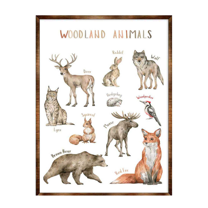 Woodland animals educational poster in a brown frame with labeled deer, wolf, rabbit, and fox