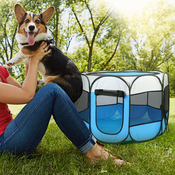 Blue and white pet playpen tent with zipper front door and breathable mesh panels