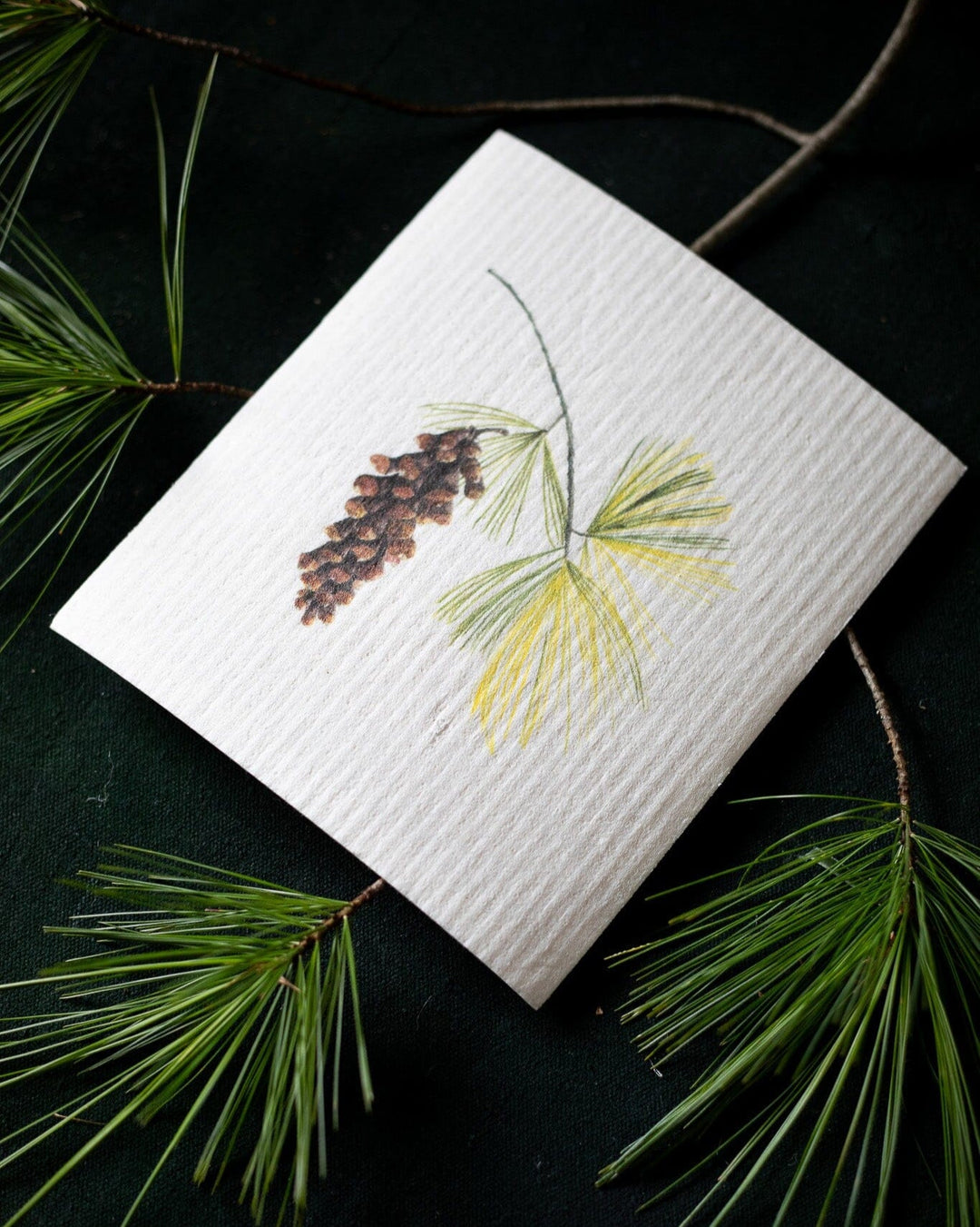 Hostess set of 3 | Pears, Tangerine, and Pinecone (Botanical artist Cara Cummings)