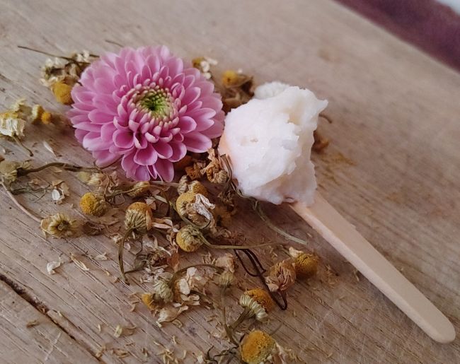 Body cream dollop with pink flower and dried herbs on wooden surface