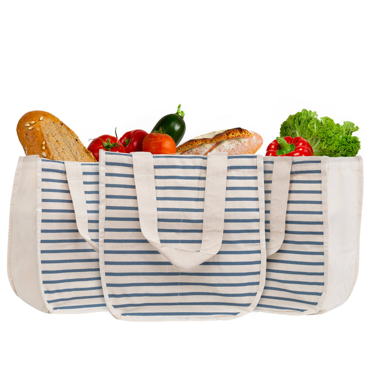 Organic Canvas Grocery Tote