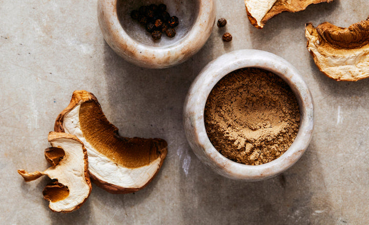 Dried mushroom pieces and small bowls holding brown mushroom mix powder