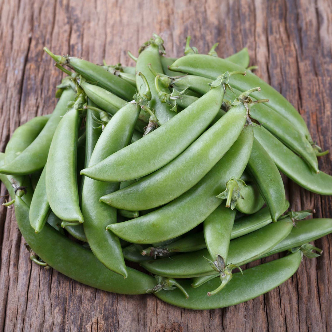 Pile of green sugar snap pea pods