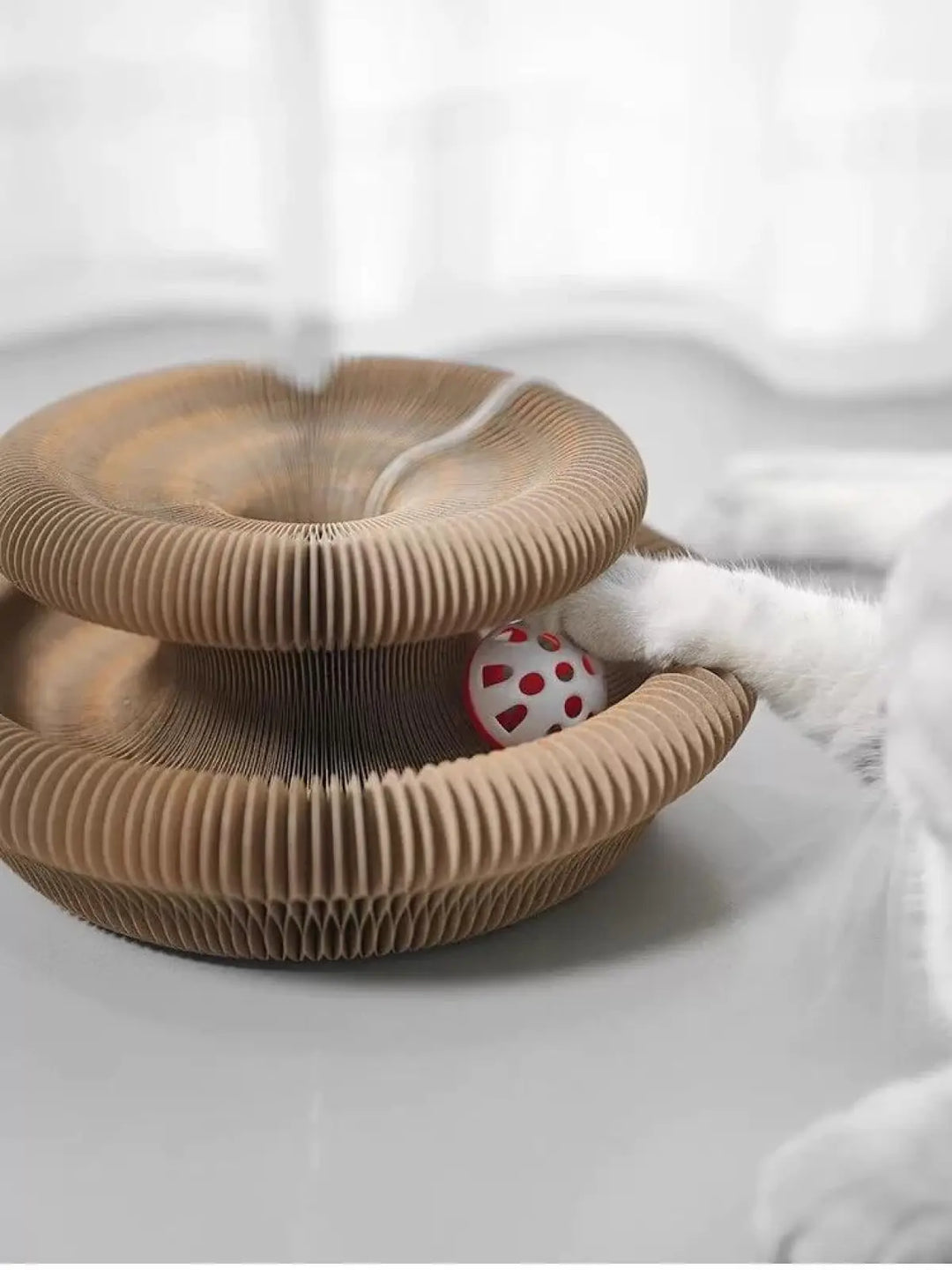 Close-up of folded accordion scratching board with red ball under top ring