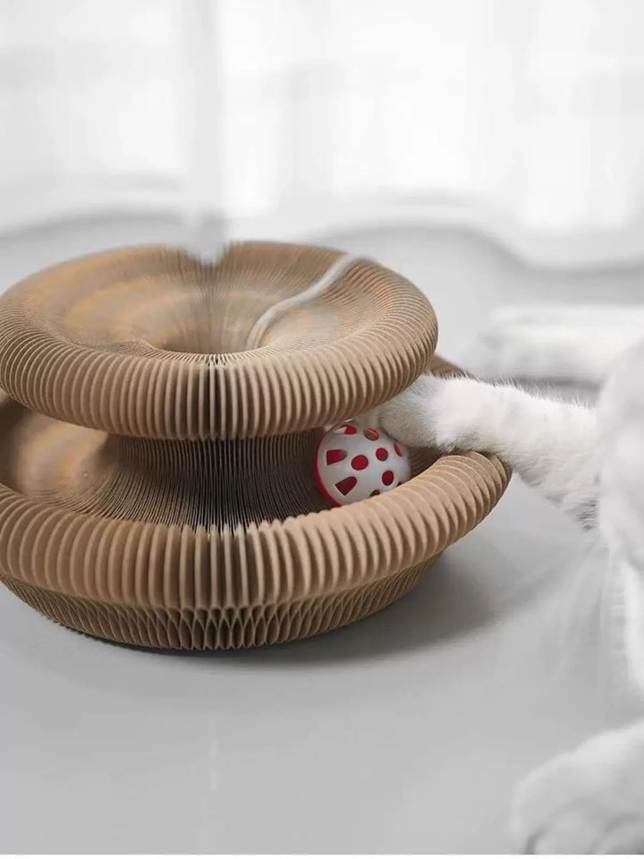 Close-up of folded accordion scratching board with red ball under top ring