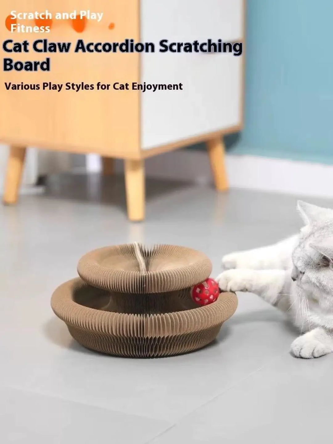 Accordion cat scratching board on floor beside playing white cat